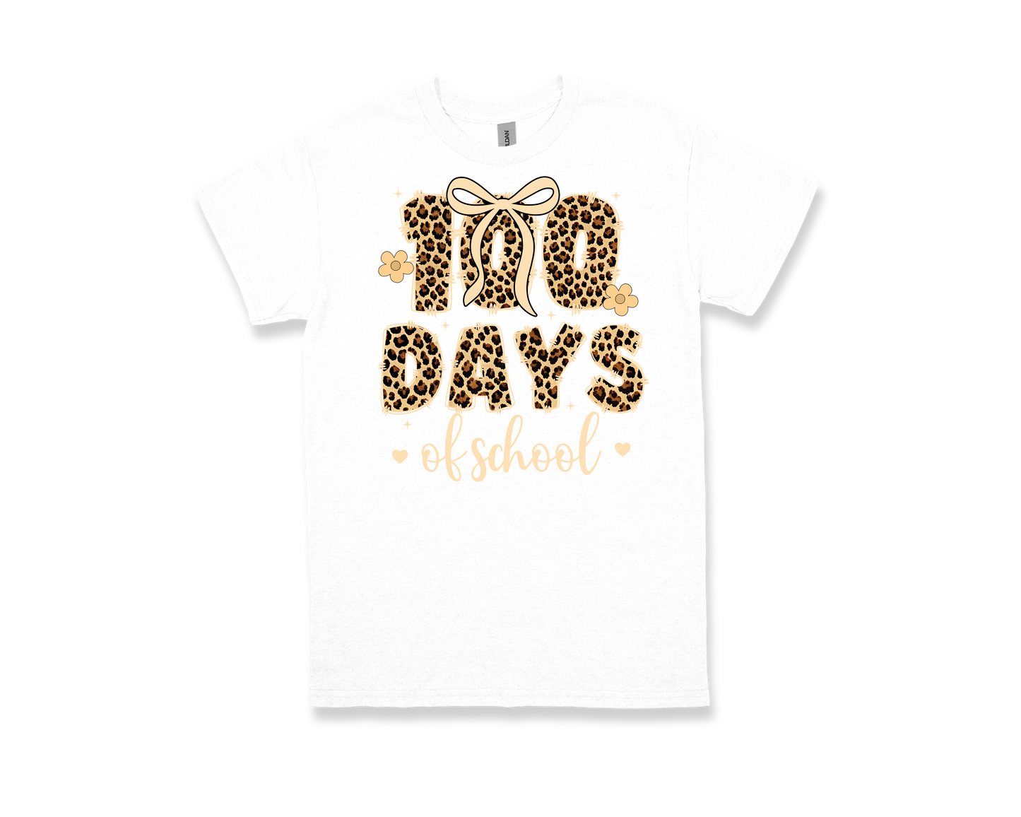 100 Days of School